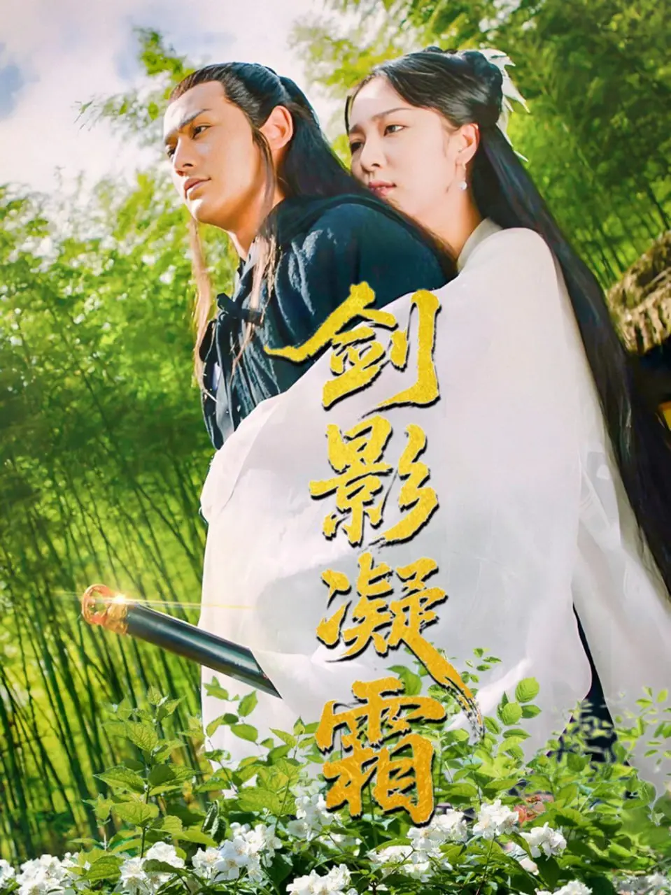 剑影凝霜:武侠世界的爱恨情仇与江湖恩怨