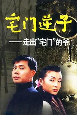 《宅门逆子》：家族恩怨与个人救赎的残酷交织，一场豪门里的谍影重重
